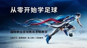 法国球迷庆祝巴黎圣日耳曼欧冠卫冕引发骚乱
